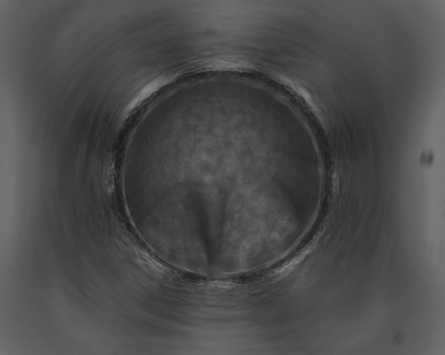 X0000091221306200708231621