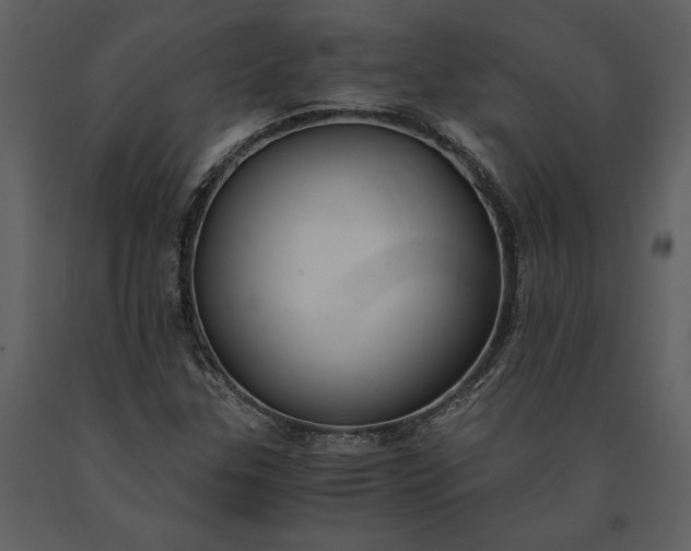 X0000091221307200708231621