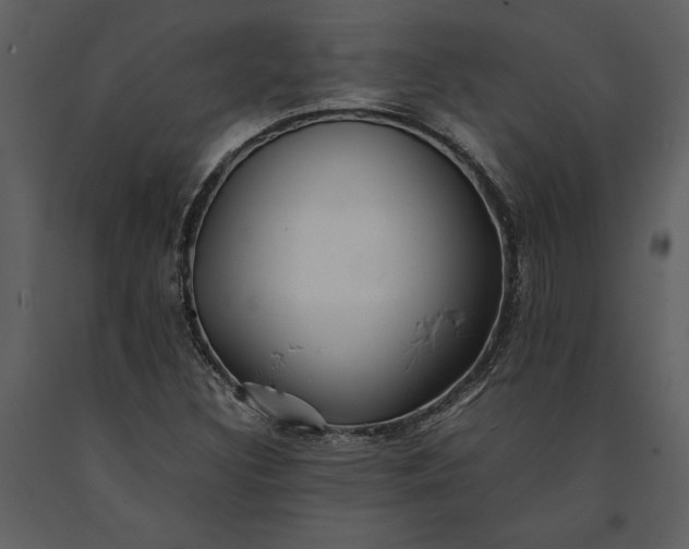 X0000091221308200708231621