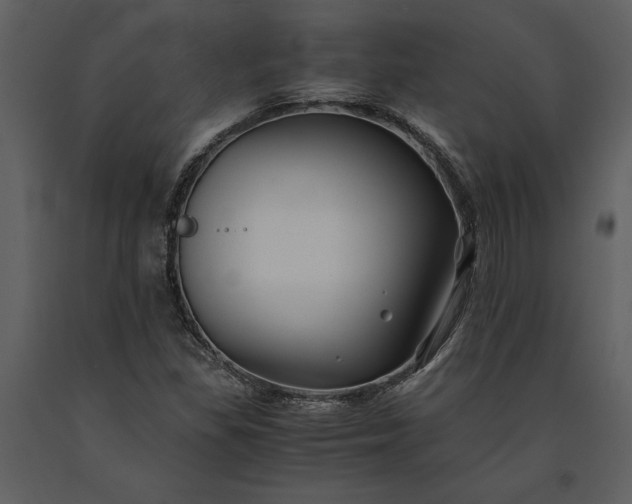 X0000091221309200708231621