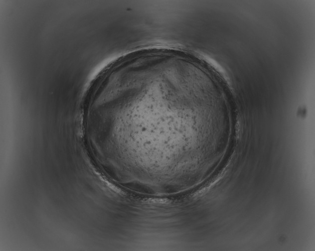 X0000091221310200708231621