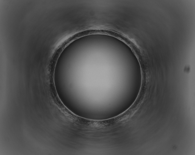 X0000091221311200708231621