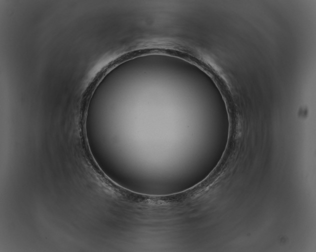 X0000091221312200708231622