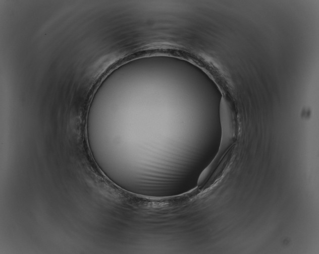 X0000091221313200708231622