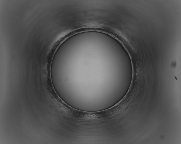 X0000091221315200708231622