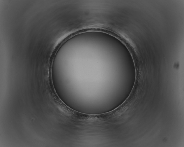 X0000091221316200708231622