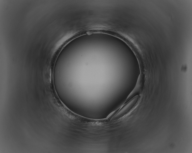 X0000091221317200708231622