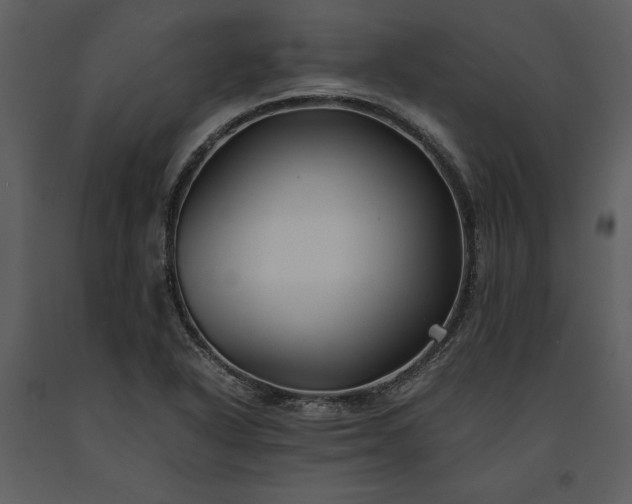 X0000091221318200708231622