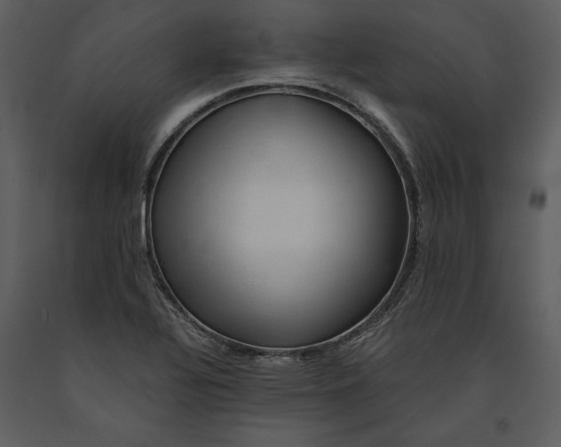 X0000091221320200708231622