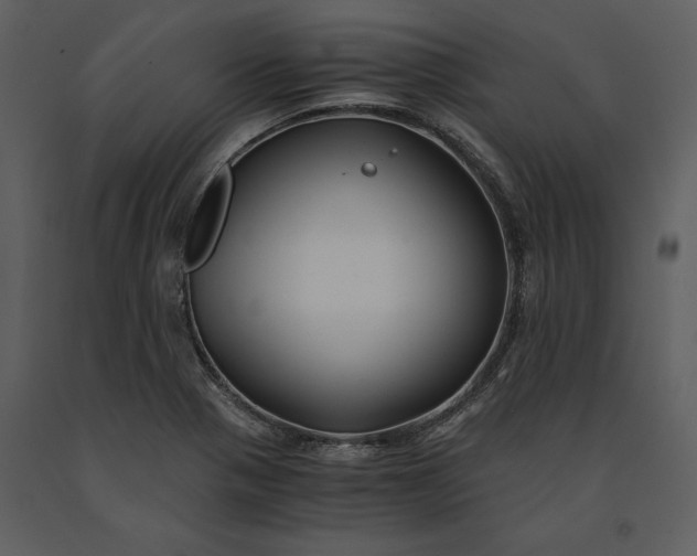 X0000091221321200708231622