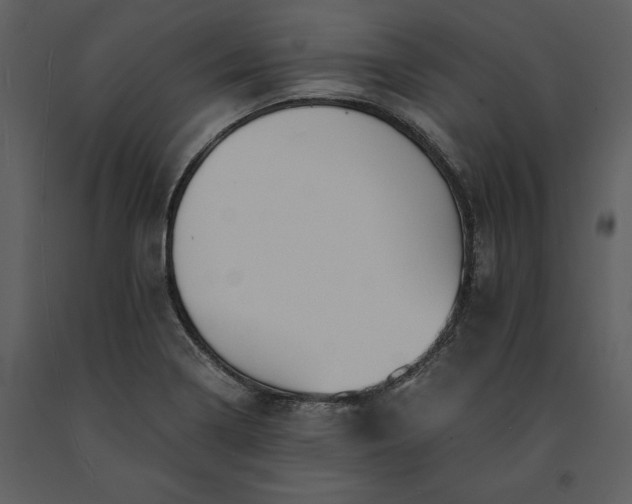 X0000091221322200708231622