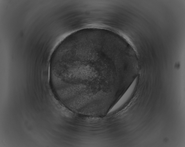 X0000091221323200708231622