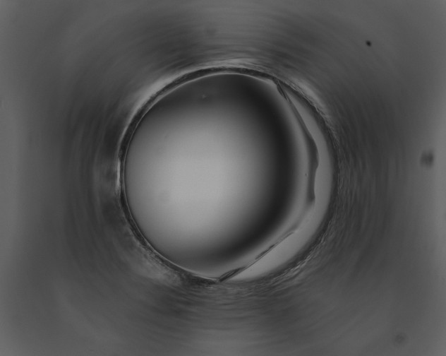 X0000091221324200708231622