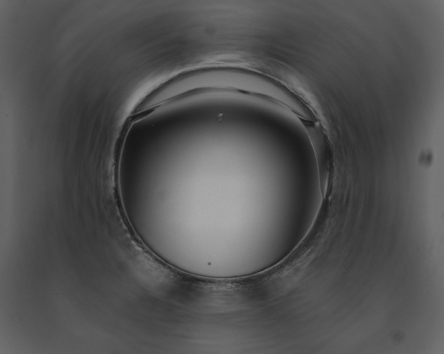 X0000091221328200708231622