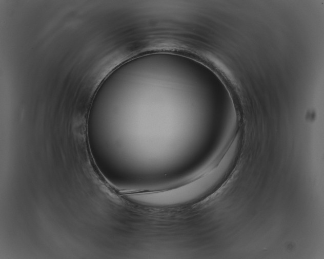 X0000091221329200708231622