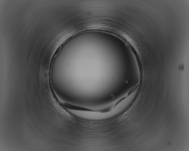 X0000091221330200708231622