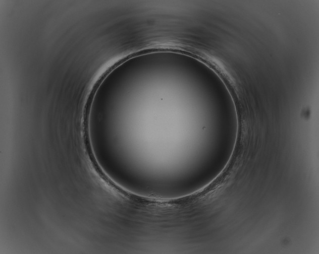 X0000091221331200708231622