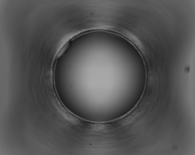 X0000091221332200708231622