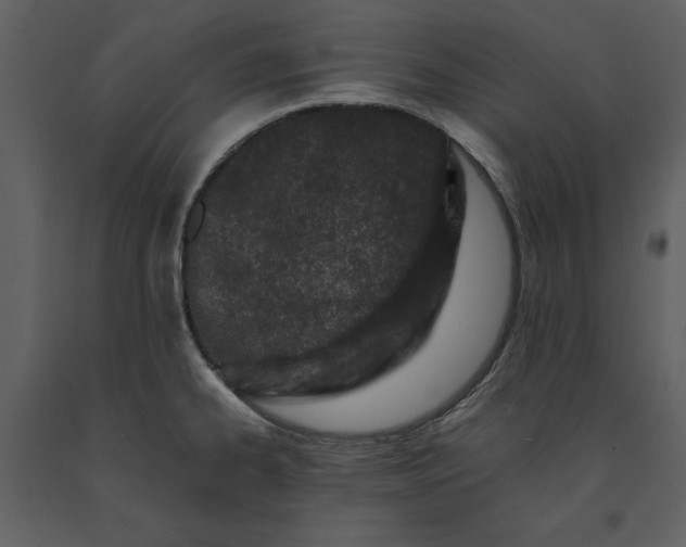 X0000091221334200708231622