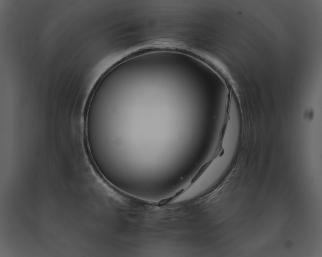 X0000091221335200708231622