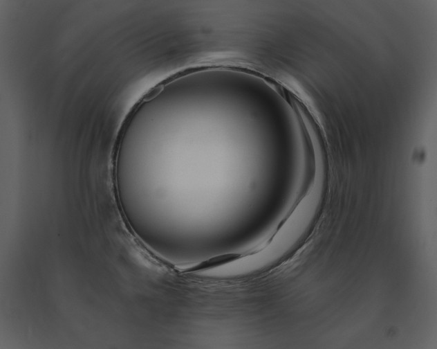 X0000091221336200708231622