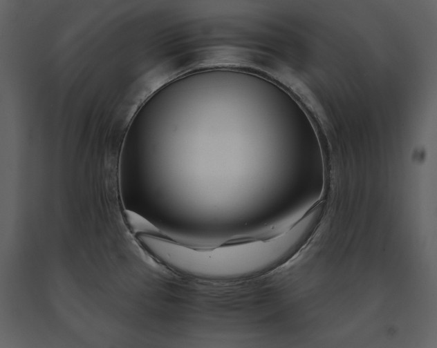 X0000091221337200708231622