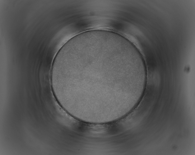 X0000091221338200708231622