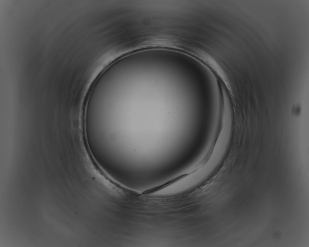 X0000091221339200708231622