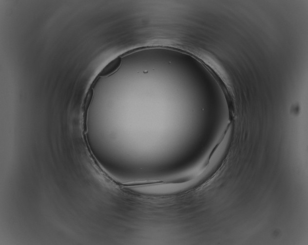 X0000091221340200708231622