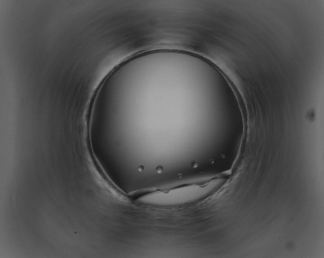 X0000091221341200708231622