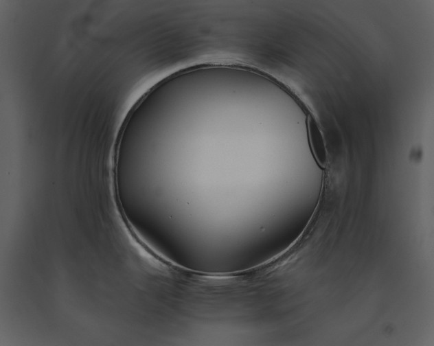 X0000091221343200708231622