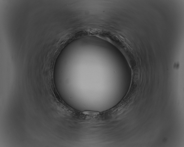 X0000091221345200708231621