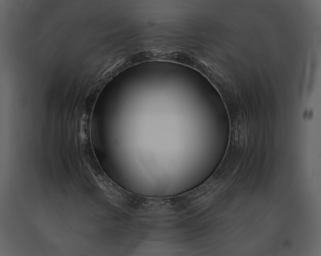 X0000091221346200708231621