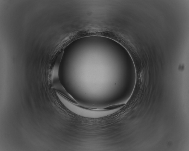 X0000091221348200708231621