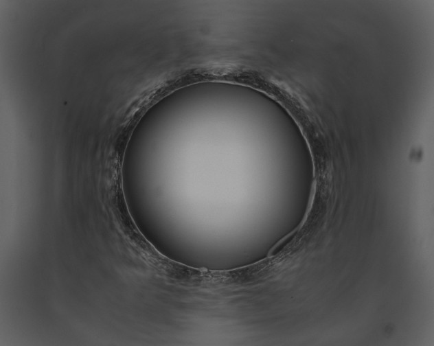 X0000091221349200708231621