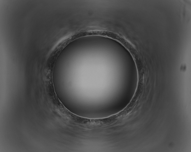 X0000091221351200708231621