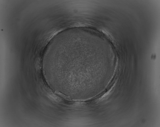 X0000091221353200708231621