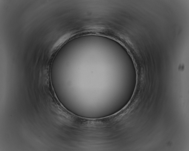 X0000091221354200708231621