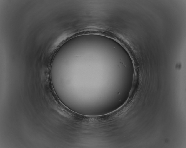 X0000091221355200708231621