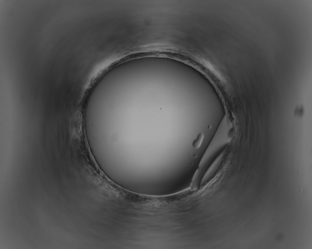 X0000091221358200708231621