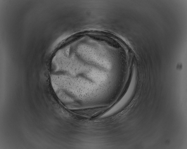 X0000091221359200708231621