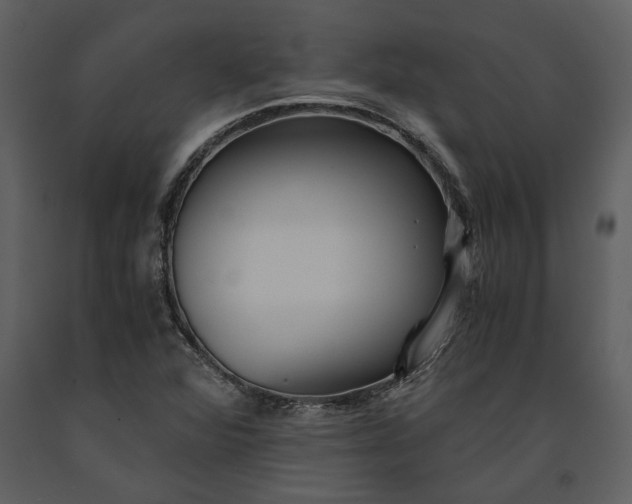 X0000091221360200708231621