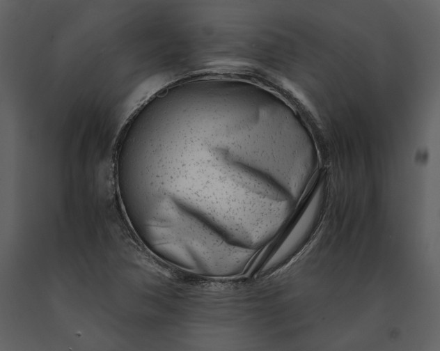 X0000091221362200708231621