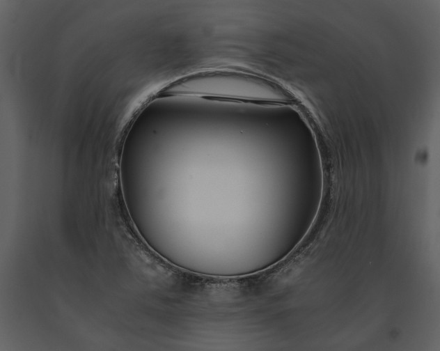 X0000091221363200708231621