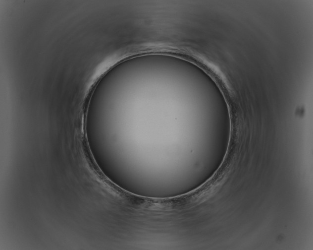 X0000091221365200708231621