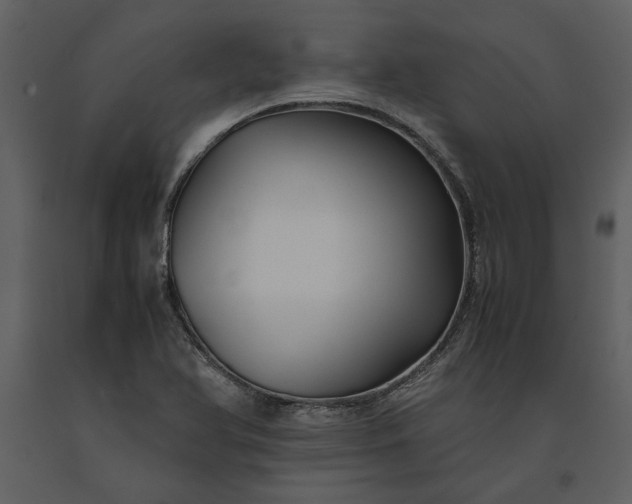 X0000091221366200708231621