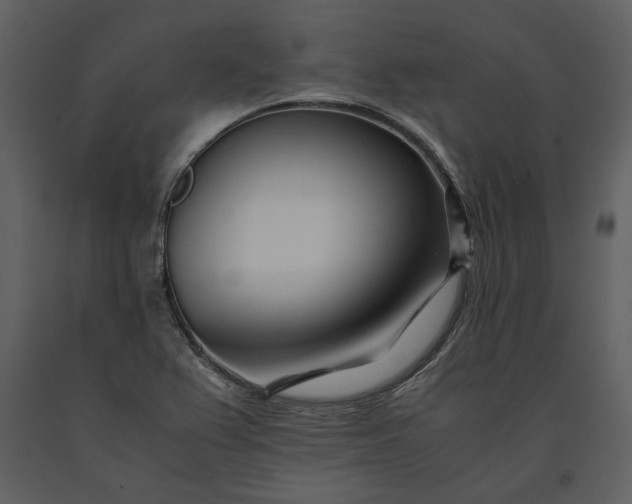 X0000091221367200708231621