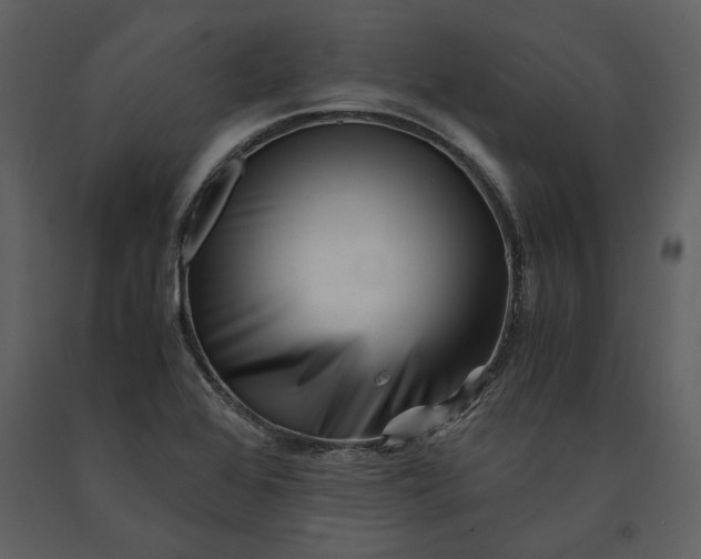 X0000091221368200708231621