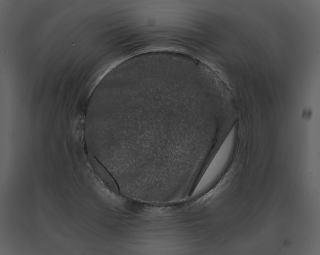 X0000091221369200708231621