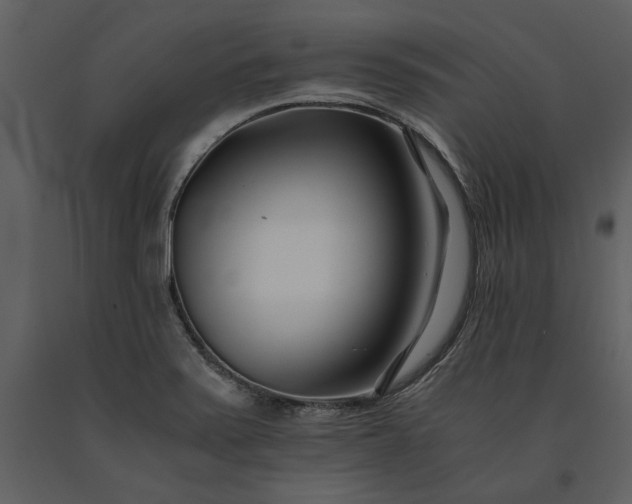 X0000091221371200708231621